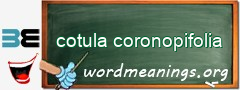 WordMeaning blackboard for cotula coronopifolia